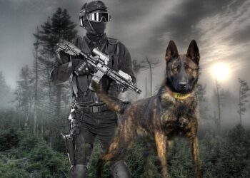 Καλούνται να Καταταγούν στο στράτευμα …Τριών Στρατιωτικών Σκύλων της φυλής (Malinois).