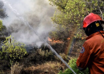 Προφυλακιστέος ο Τούρκος εμπρηστής
