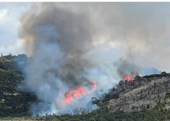 Κύπρος: Ανεξέλεγκτη πυρκαγιά στην Πάφο – Στέλνει αεροσκάφη η Ελλάδα