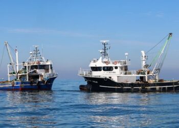 «Λεηλασία» του θρακικού πελάγους από Τούρκους ψαράδες…Συνοδεία Τουρκικής ακτοφυλακής!!