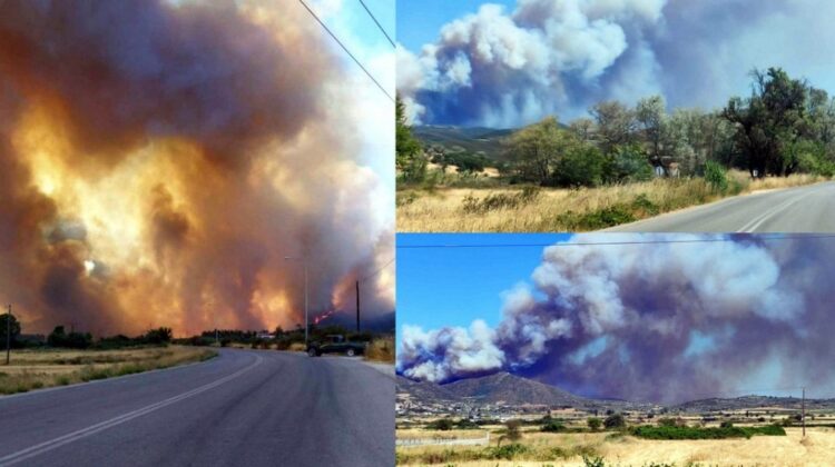 Μεγάλη φωτιά στην Εύβοια: 112 για εκκένωση οικισμών