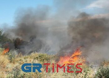Πυρκαγιά στην Εθνική Θεσσαλονίκης – Σερρών: Κινητοποίηση με εναέρια και επίγεια μέσα