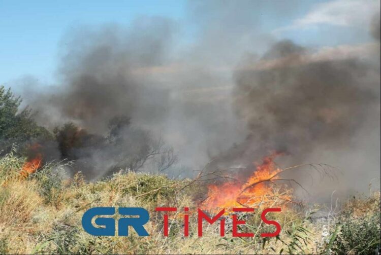 Πυρκαγιά στην Εθνική Θεσσαλονίκης – Σερρών: Κινητοποίηση με εναέρια και επίγεια μέσα