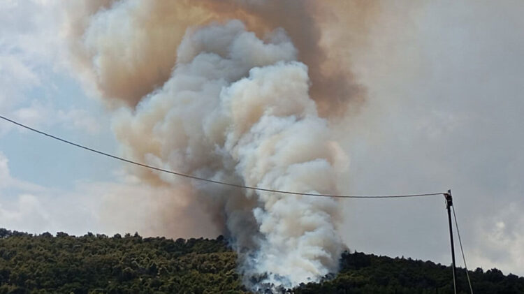 Φωτιά στα Γλυκά Νερά: Μεγάλη επιχείρηση της Πυροσβεστικής – Ήχησε το 112
