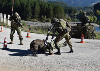 (ΤΑΜΣ) «ΔΥΝΑΜΙΚΗ ΑΝΤΙΔΡΑΣΗ – 2/2024»…Απο τις Δυνάμεις της  (29ης Μ/Π ΤΑΞ ΠΖ)