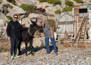 Ένας αξιαγάπητος  “σύντροφος” για την Κυρά Ρηνιώ της Κινάρου!