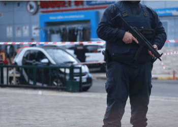 Σύλληψη ηγετικού  στελέχους ς της διαβόητης τουρκικής μαφιόζικης οργάνωσης «Ντάλτονς»