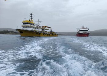 Μεσσηνία :Τουρκικά αλιευτικά κατέπλευσαν  στο Λιμάνι της Φοινικούντας