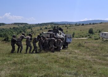 Πολυεθνική Άσκηση «PLATINUM WOLF-25» στο Πεδίο Ασκήσεων «BOROVAC» της  Σερβίας