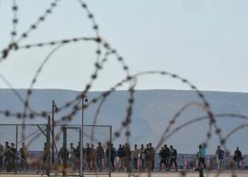 Απελάθηκαν 50 λαθρομετανάστες από την Ελλάδα – Σαφές μήνυμα Πλεύρη: «Αν δεν δικαιούστε άσυλο, επιστρέφετε»