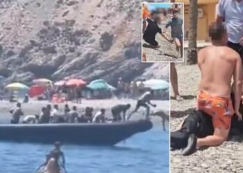 Ισπανοί πήραν στο κυνήγι Μαροκινούς Λαθρομετανάστες που έκαναν …Απόβαση σε Παραλία της Γρανάδας !(video)