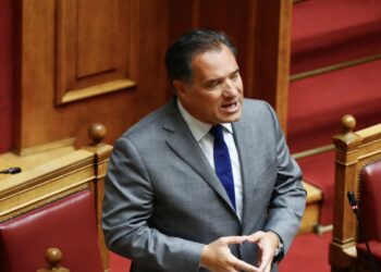 Ο Γεωργιάδης για την Οπλοκατοχή …