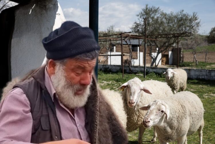 Mε συμπτώματα εγκεφαλικού o Αγρότης που έχασε τα πρόβατά του !!!