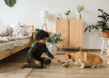 Πώς το σπίτι γίνεται χώρος μάθησης μέσα από το παιχνίδι