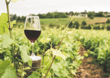 Κόκκινο, λευκό και ροζέ κρασί: Τι χαρακτηρίζει τις γεύσεις τους