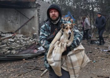Ο στρατός του Πούτιν, φοβήθηκε τα αδέσποτα της Ουκρανίας – Ρωσικό drone χτύπησε καταφύγιο ζώων στη Ζαπορίζια
