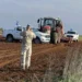 Τούρκος έποικος παραβίασε για πολλοστή φορά την περιοχή της Αυλώνας