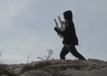 Ισραηλινοί έποικοι εισέβαλαν σε παλαιστινιακό οικισμό και άρπαξαν αρνιά στη Δυτική Όχθη