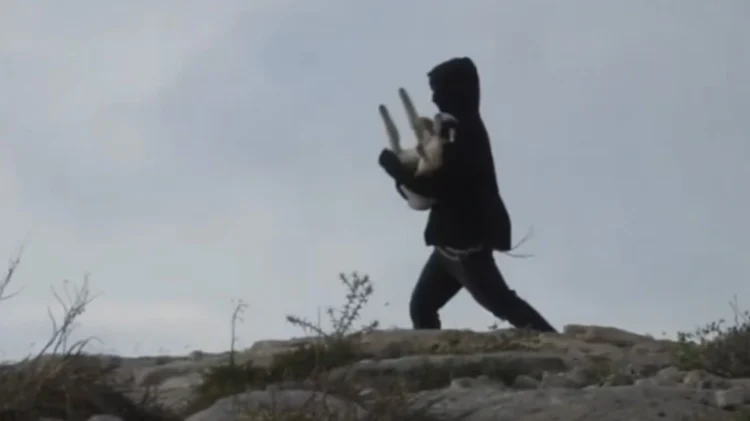 Ισραηλινοί έποικοι εισέβαλαν σε παλαιστινιακό οικισμό και άρπαξαν αρνιά στη Δυτική Όχθη