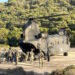 Πλήρης επιχειρησιακή ετοιμότητα για το SOLTG της ΔΕΠ μετά από αξιολόγηση του ΝΑΤΟ