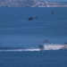 Εντυπωσιακή επίδειξη ισχύος από τις Ελληνικές Ειδικές Δυνάμεις παρουσία του Γάλλου Αρχηγού Ενόπλων Δυνάμεων