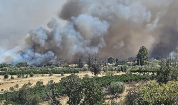 Φωτιά στα Σπάτα: Μεγάλη κινητοποίηση της Πυροσβεστικής – Μήνυμα 112 στους κατοίκους