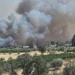 Φωτιά στα Σπάτα: Μεγάλη κινητοποίηση της Πυροσβεστικής – Μήνυμα 112 στους κατοίκους