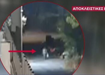 Συνελήφθη 50χρονος Αλβανός να βάζει φωτιά στα σύνορα Άνοιξης – Εκάλης (video) 6 Συνελήφθη 50χρονος Αλβανός να βάζει φωτιά στα σύνορα Άνοιξης – Εκάλης (video)