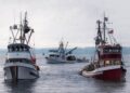 Καταγγελία :Τουρκικά αλιευτικά σκάφη μπαίνουν στα ελληνικά νερά με τις πλάτες των τουρκικών αρχών