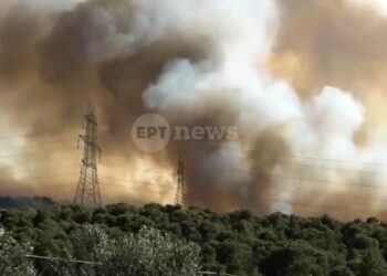 Φωτιά στην Οινόη: Τεράστια κινητοποίηση με 155 πυροσβέστες και 22 εναέρια μέσα – Μήνυμα από το 112 7 Φωτιά στην Οινόη: Τεράστια κινητοποίηση με 155 πυροσβέστες και 22 εναέρια μέσα – Μήνυμα από το 112