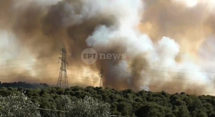 Φωτιά στην Οινόη: Τεράστια κινητοποίηση με 155 πυροσβέστες και 22 εναέρια μέσα – Μήνυμα από το 112 1 Φωτιά στην Οινόη: Τεράστια κινητοποίηση με 155 πυροσβέστες και 22 εναέρια μέσα – Μήνυμα από το 112