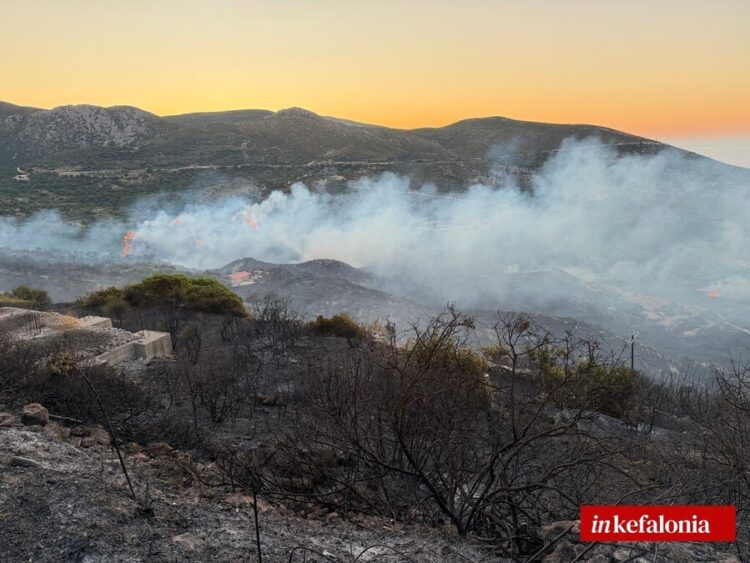 Κεφαλονιά: Συνελήφθη 44χρονος για εμπρησμό από πρόθεση – Κάηκαν πάνω από 6.000 στρέμματα 1 Κεφαλονιά: Συνελήφθη 44χρονος για εμπρησμό από πρόθεση – Κάηκαν πάνω από 6.000 στρέμματα