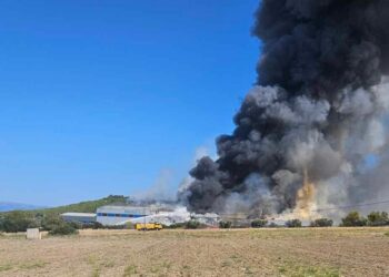 Νέες εικόνες από την Τανάγρα: Η φωτιά στο σημείο της συντριβής του Phantom