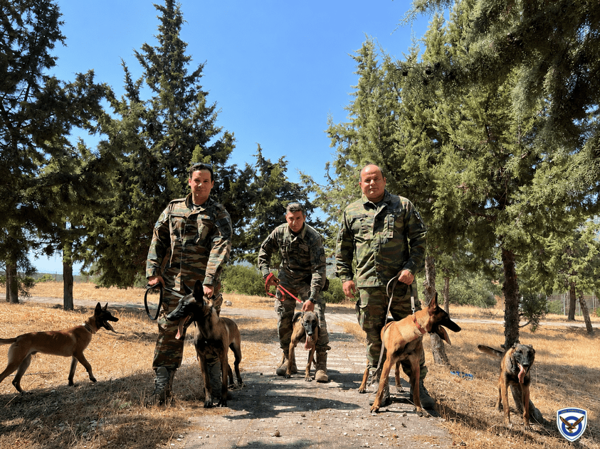 στο Κέντρο Εκπαίδευσης Φρουρών Σκύλων (ΚΕΦΣΚΥ), η αξιολόγηση του 2ου σταδίου 2 IMG 0303