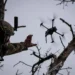 Συντρίμμια από drone προκάλεσαν ζημιές σε βιομηχανική περιοχή στο Νεβινομίσκ της Ρωσίας 13 Συντρίμμια από drone προκάλεσαν ζημιές σε βιομηχανική περιοχή στο Νεβινομίσκ της Ρωσίας