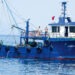 “Aγέλες” τουρκικών αλιευτικών σκαφών, αποπλέουν τα ξημερώματα, εισέρχονται και ψαρεύουν παράνομα στα ελληνικά νερά